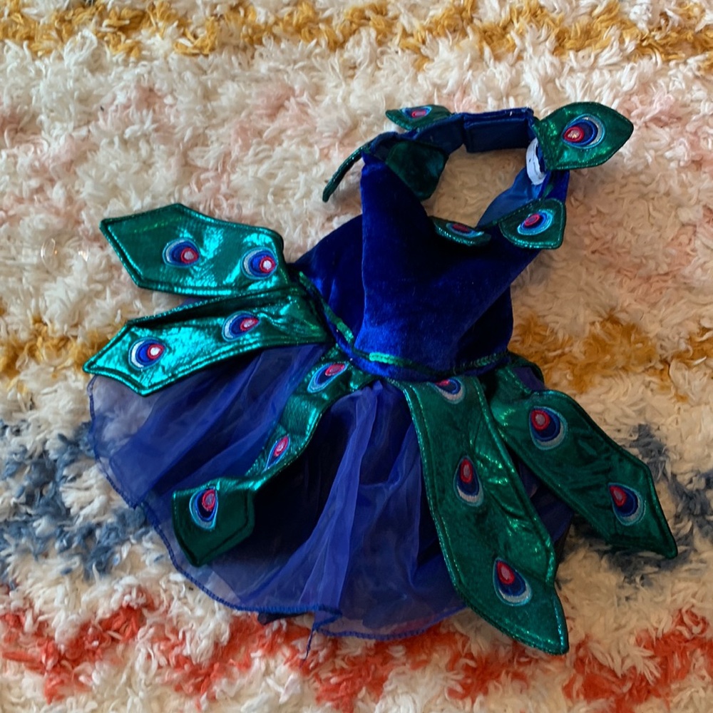 Maggie Waggie Peacock Halloween Costume for Dog Size Medium